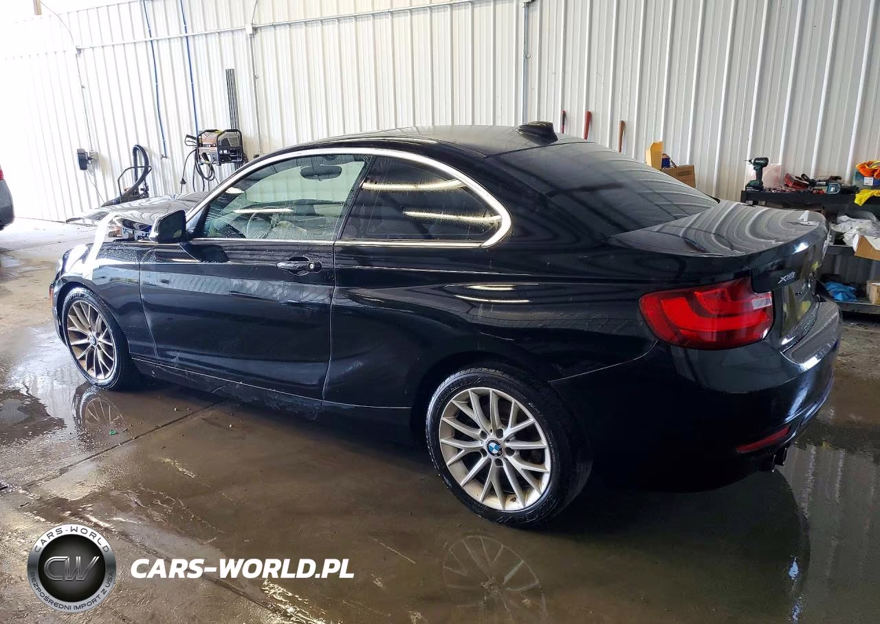 2016 BMW 228 Xi Sulev VIN:WBA1G9C54GV726630 - 2