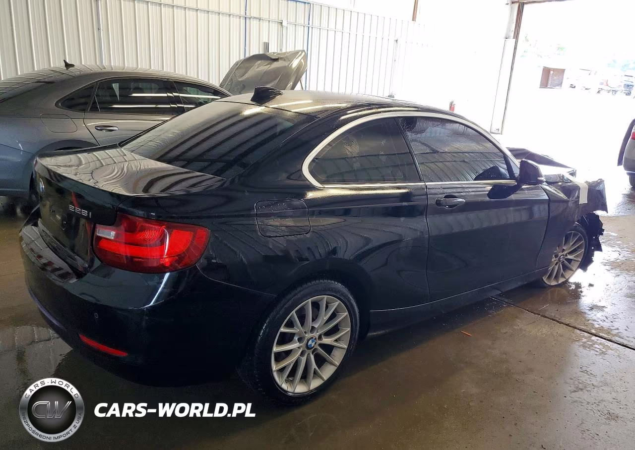 2016 BMW 228 Xi Sulev VIN:WBA1G9C54GV726630 - 3