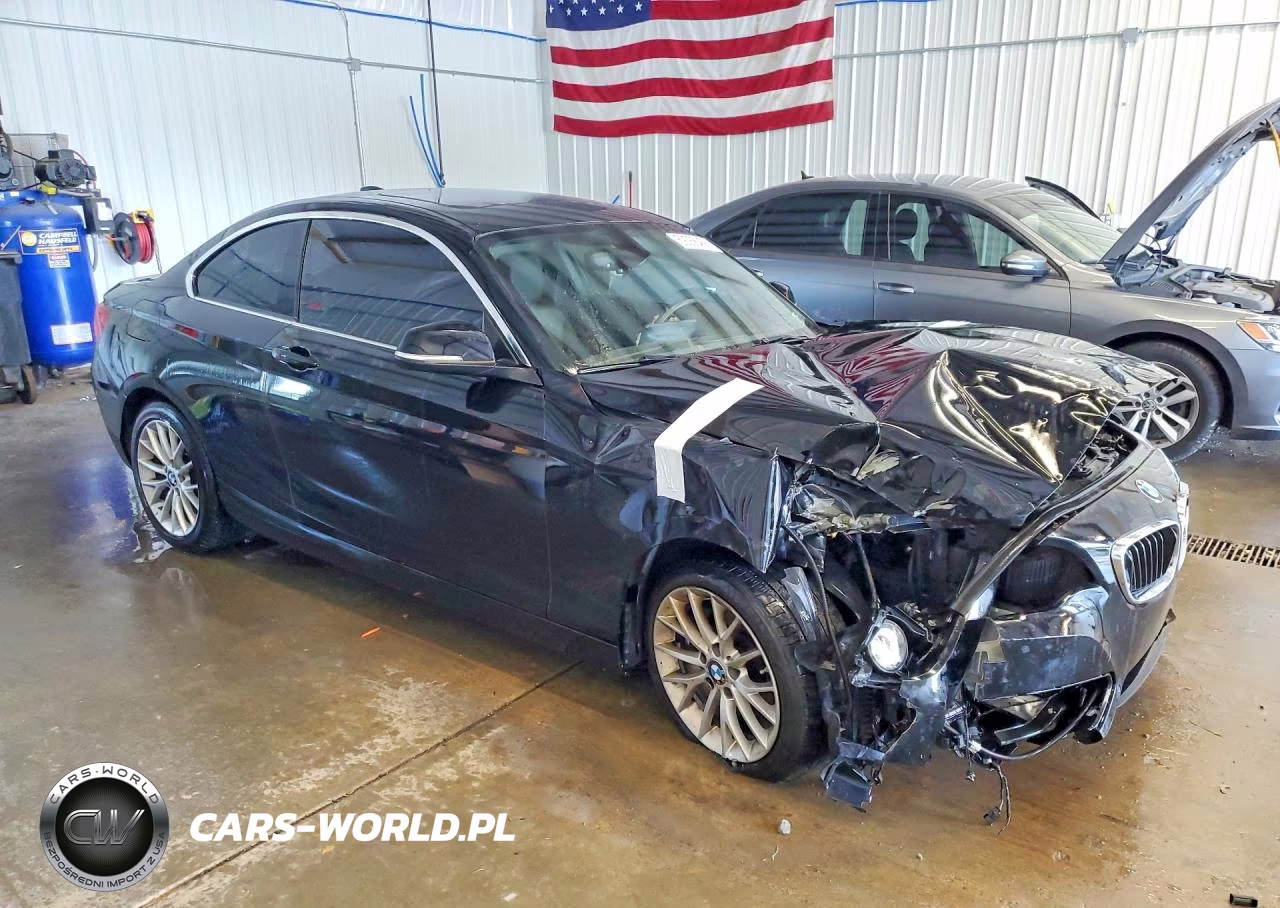 2016 BMW 228 Xi Sulev VIN:WBA1G9C54GV726630 - 4