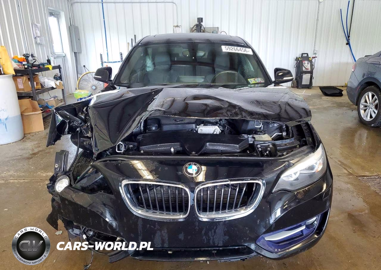 2016 BMW 228 Xi Sulev VIN:WBA1G9C54GV726630 - 5