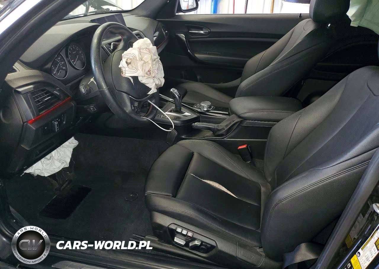 2016 BMW 228 Xi Sulev VIN:WBA1G9C54GV726630 - 7