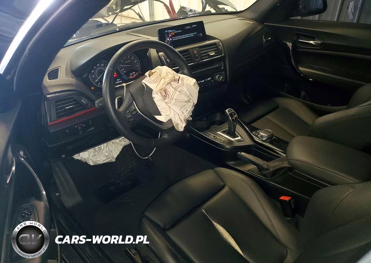 2016 BMW 228 Xi Sulev VIN:WBA1G9C54GV726630 - 8