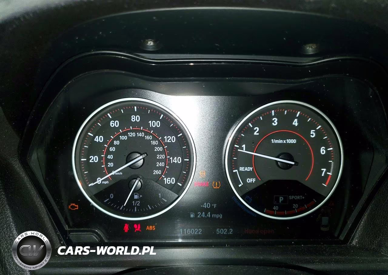 2016 BMW 228 Xi Sulev VIN:WBA1G9C54GV726630 - 9
