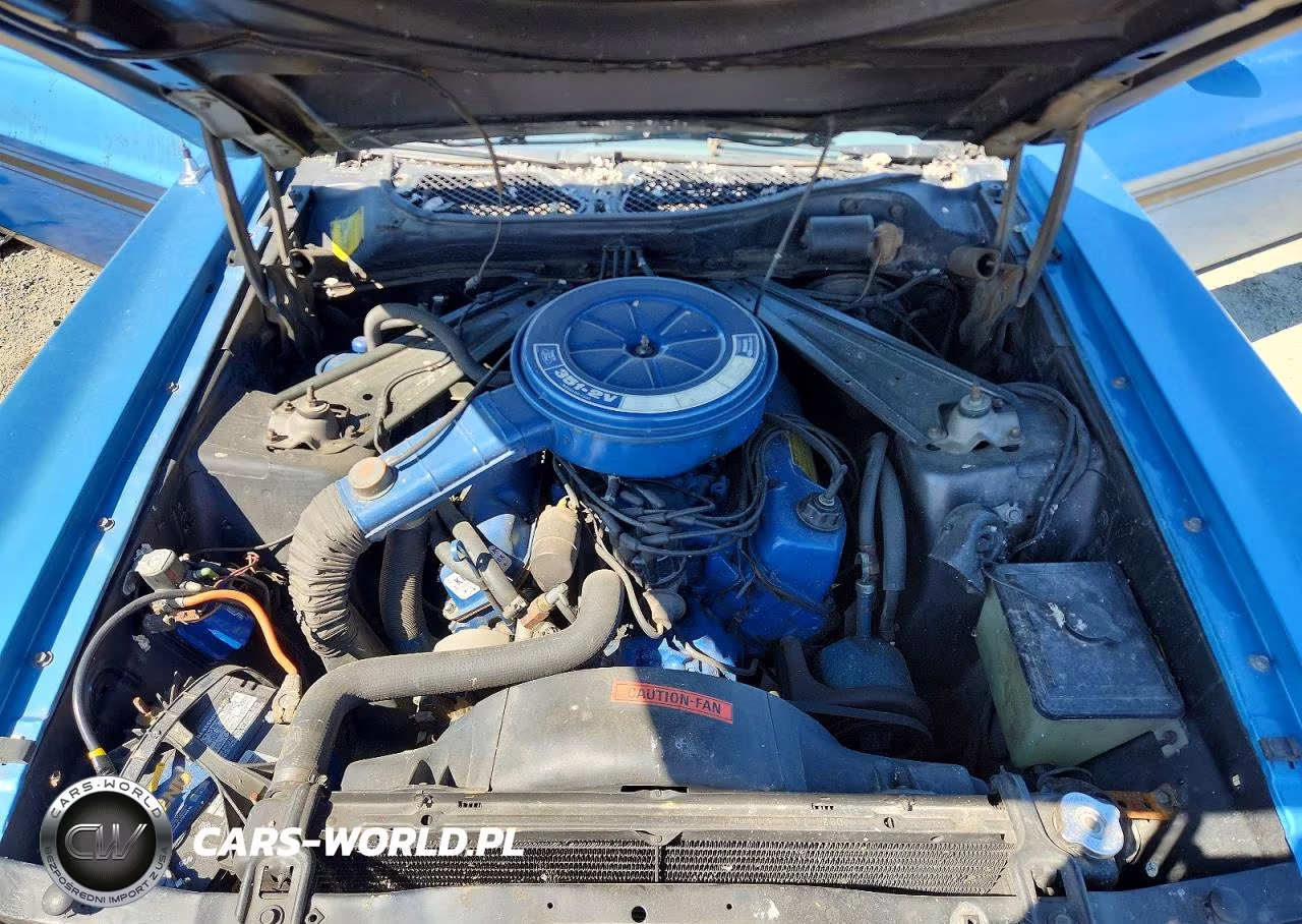1973 Ford Mustang VIN:3F03H219190 - 11