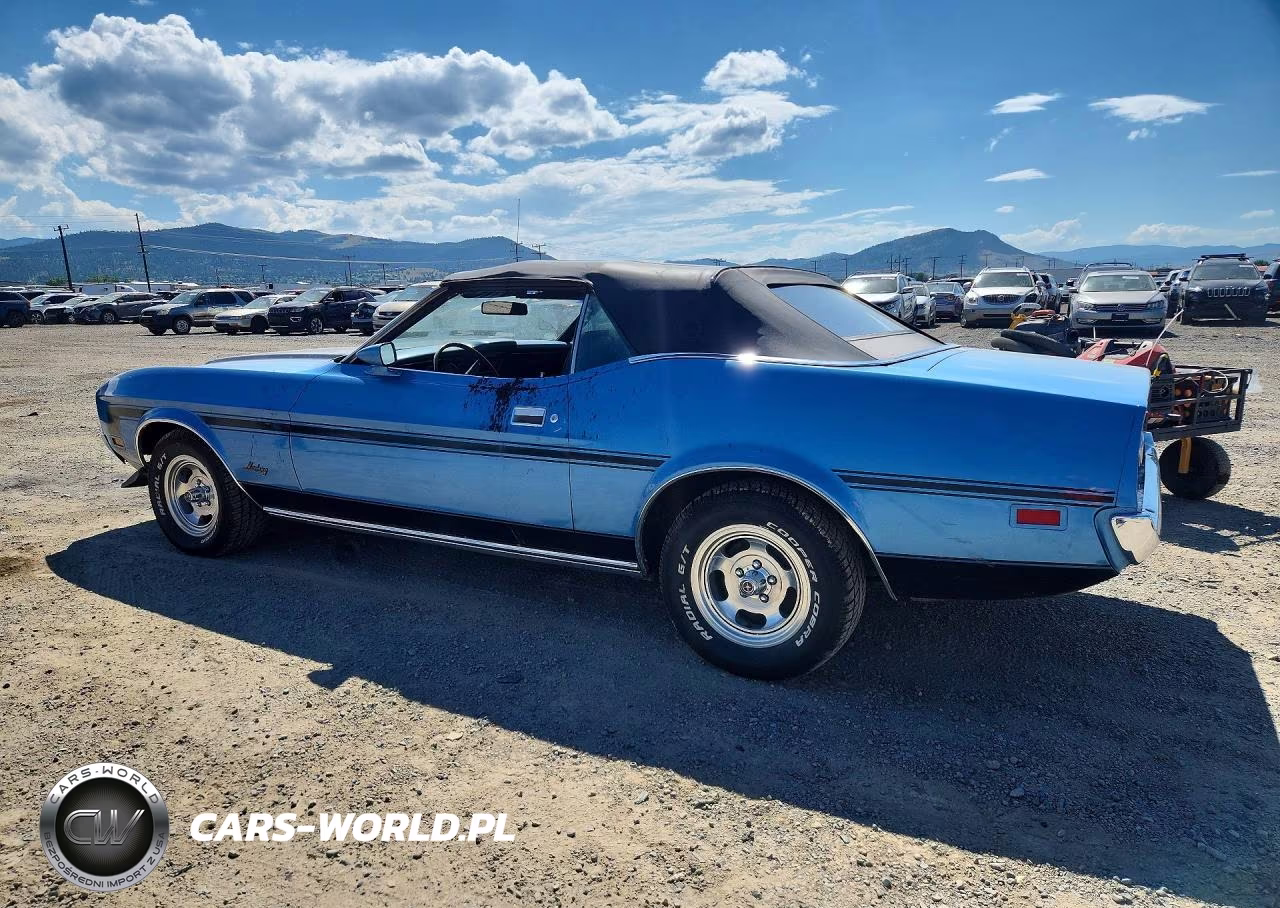 1973 Ford Mustang VIN:3F03H219190 - 2