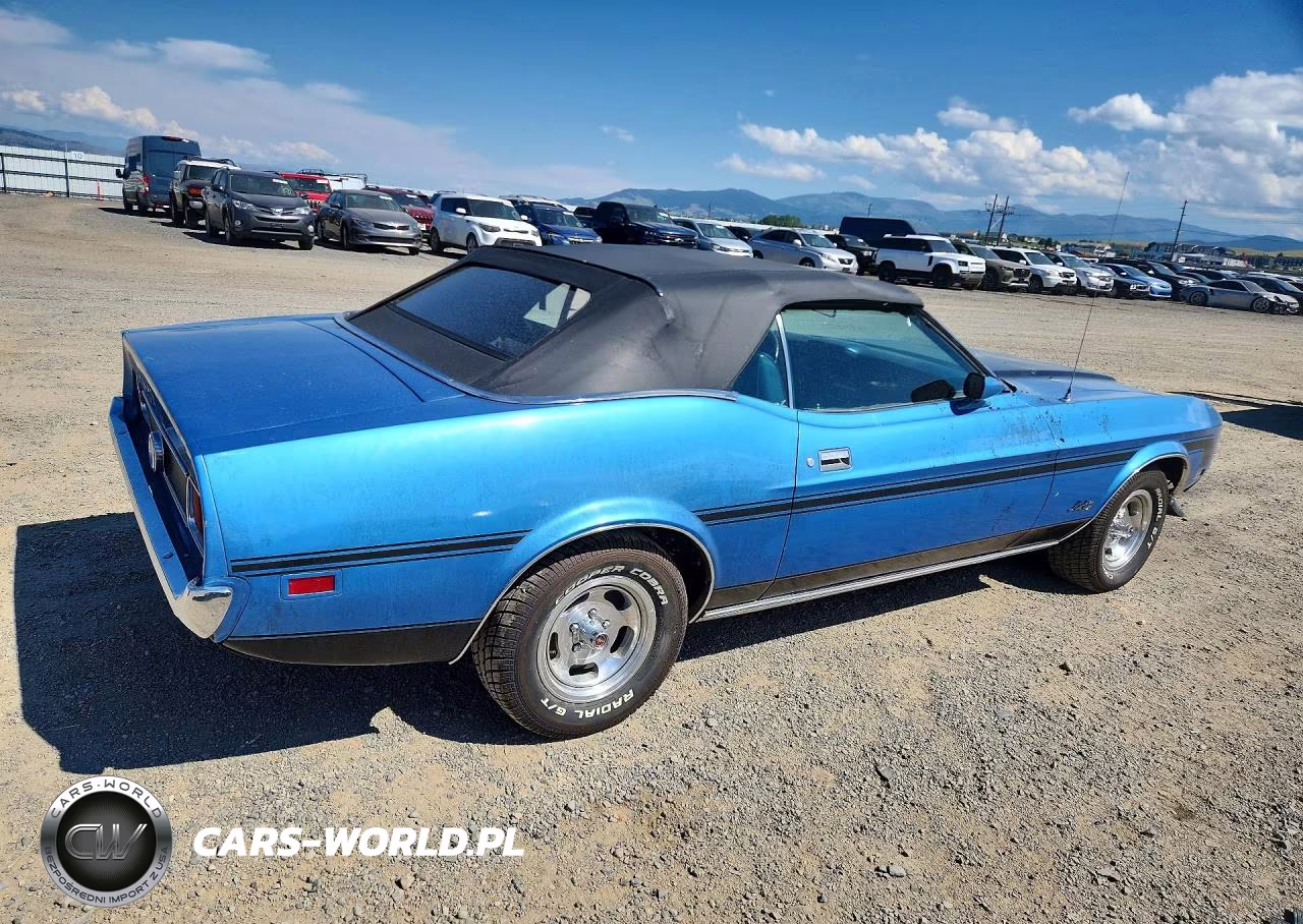 1973 Ford Mustang VIN:3F03H219190 - 3