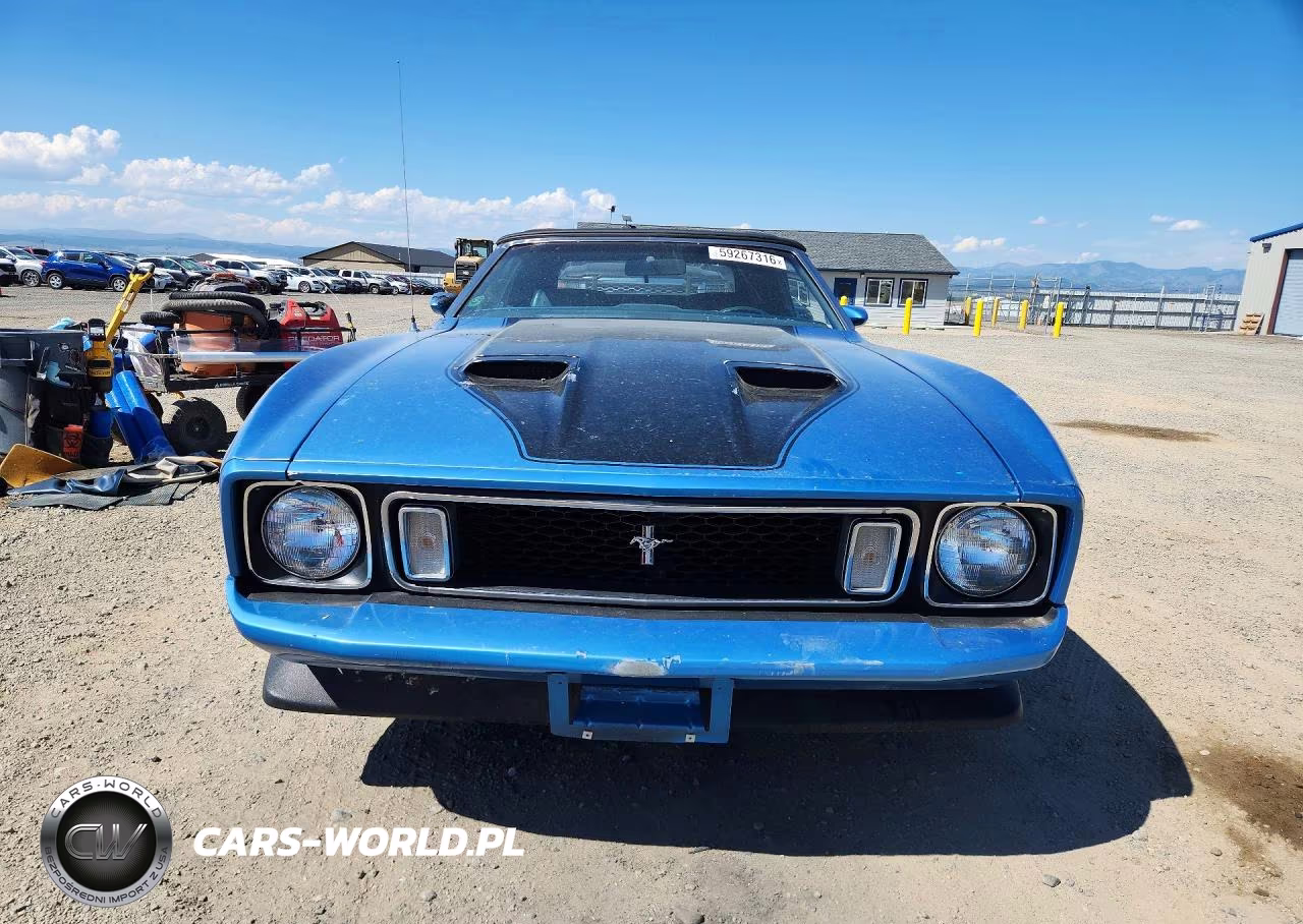 1973 Ford Mustang VIN:3F03H219190 - 5