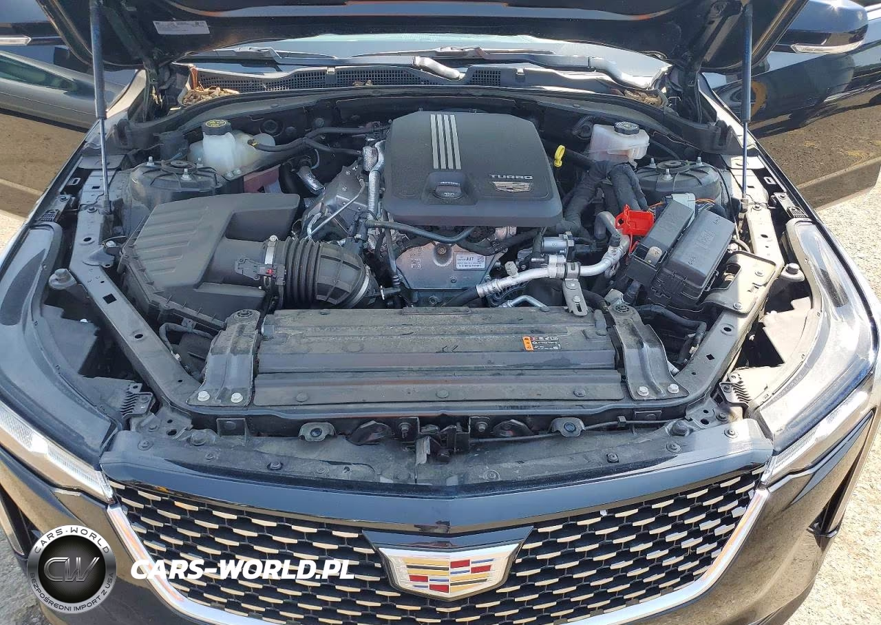 2022 Cadillac Ct4 Luxury VIN:1G6DK5RKXN0126454 - 11