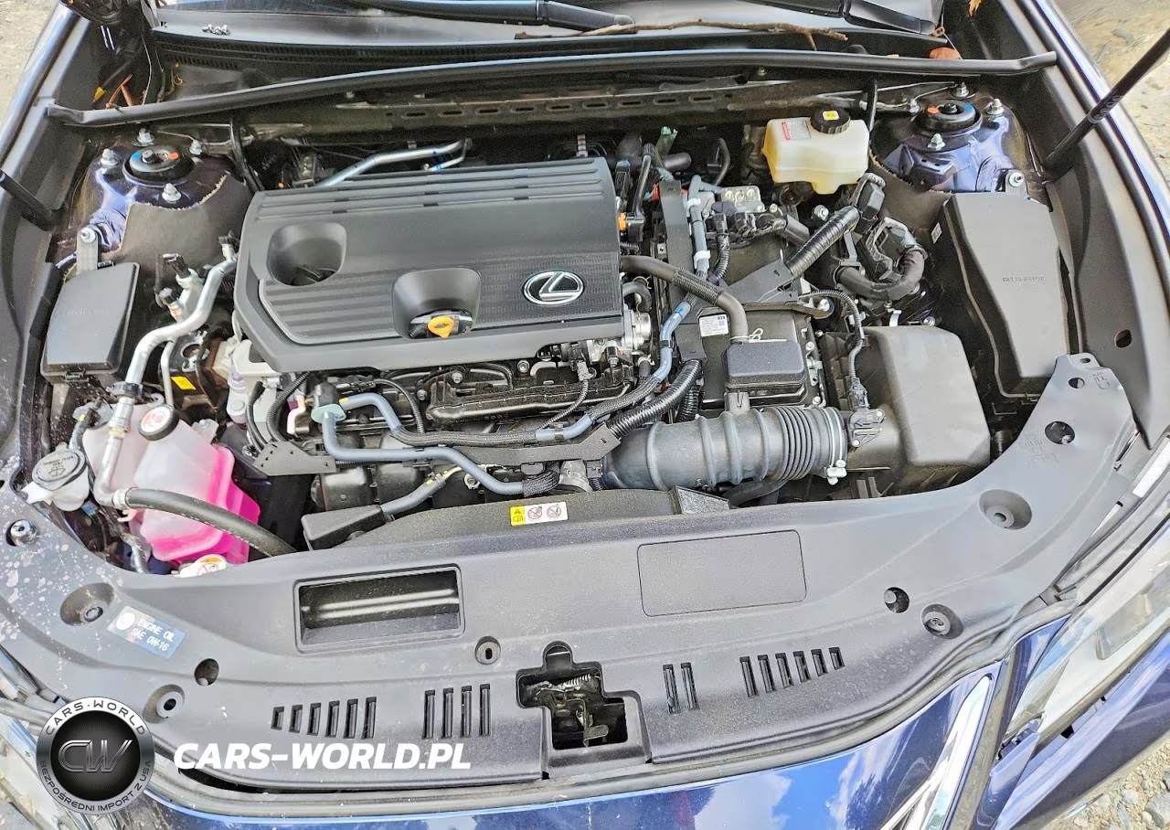 2025 Lexus Es 300H Base VIN:58ADA1C16SU075276 - 11