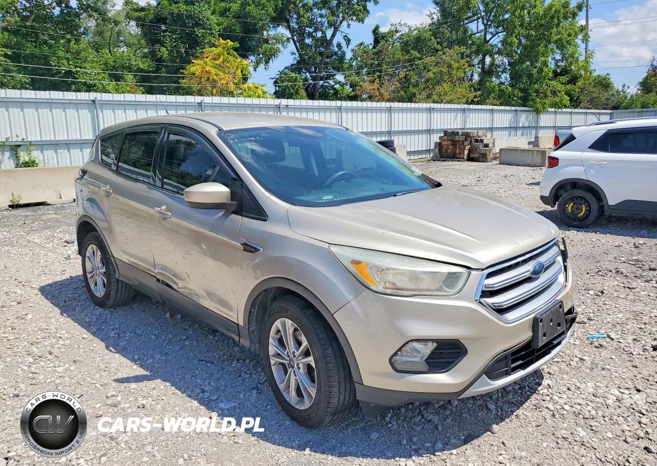 2017 Ford Escape Se VIN:1FMCU0GD1HUC78920 - 4
