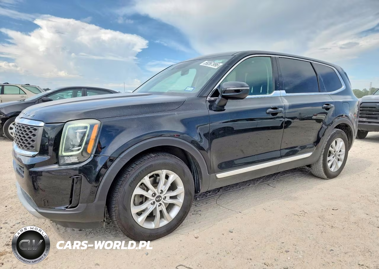 2020 Kia Telluride Lx VIN:5XYP24HC7LG015334 - 1
