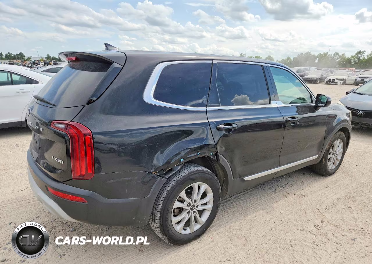 2020 Kia Telluride Lx VIN:5XYP24HC7LG015334 - 3