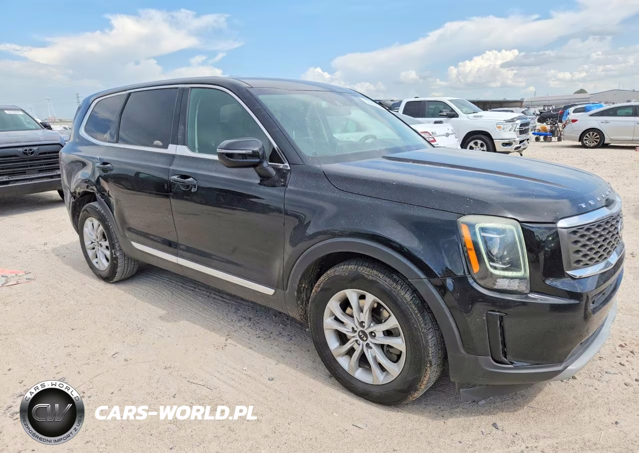 2020 Kia Telluride Lx VIN:5XYP24HC7LG015334 - 4