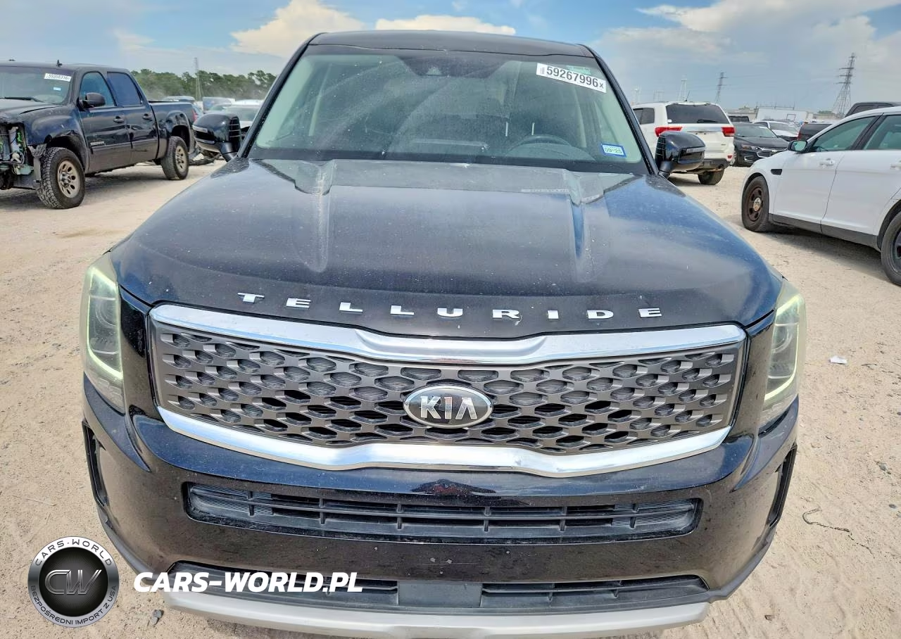 2020 Kia Telluride Lx VIN:5XYP24HC7LG015334 - 5