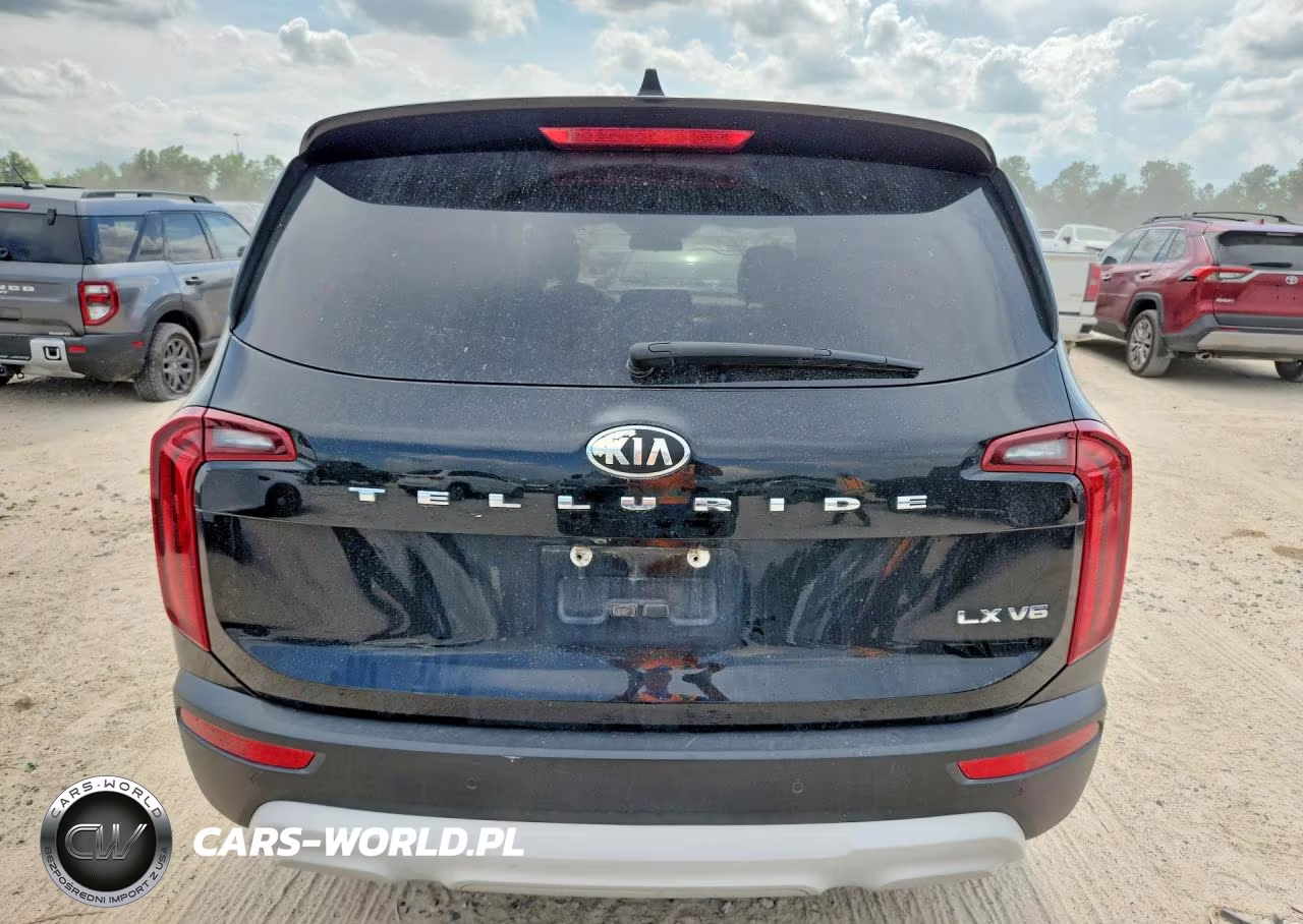 2020 Kia Telluride Lx VIN:5XYP24HC7LG015334 - 6