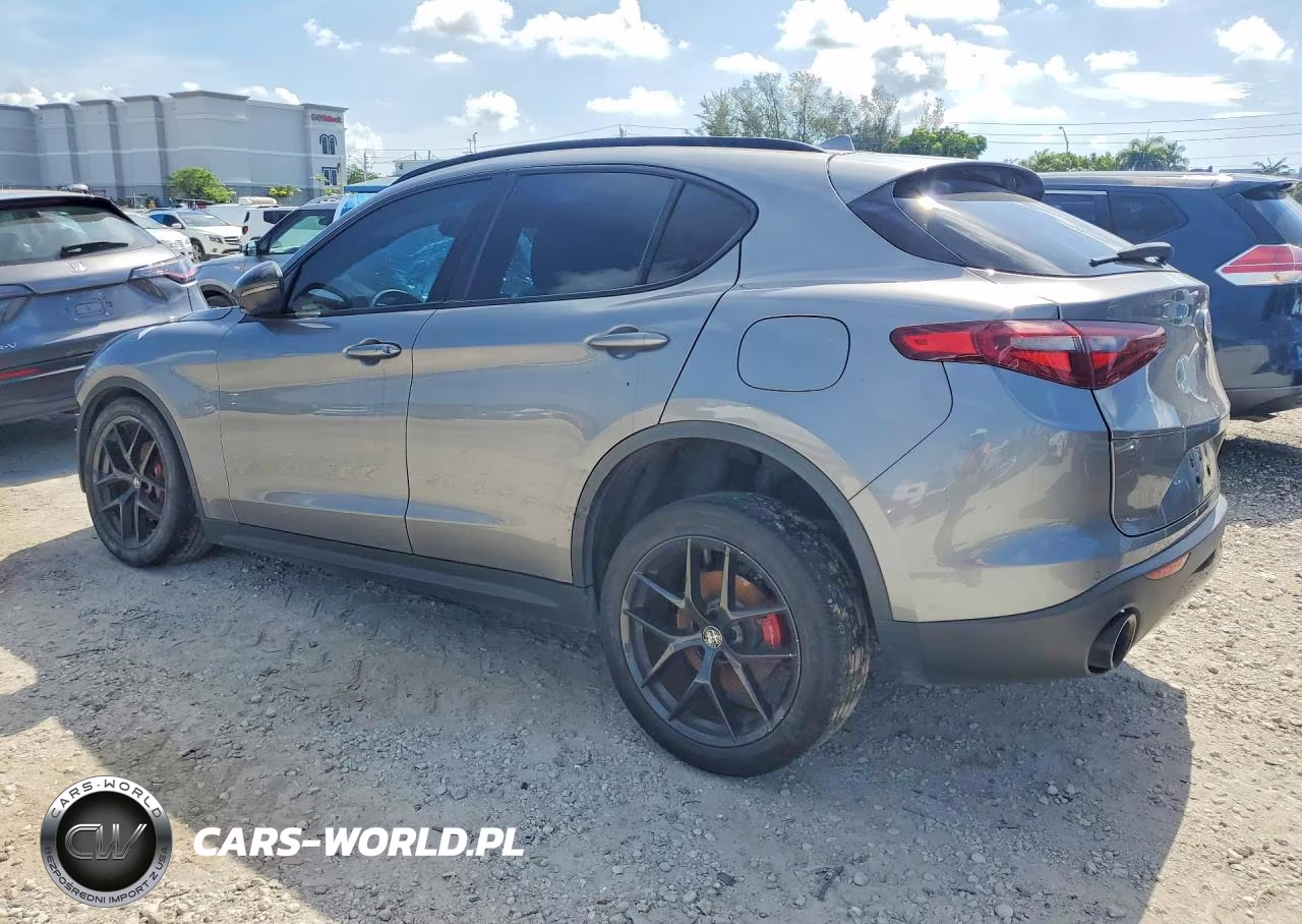 2020 Alfa Romeo Stelvio VIN:ZASPAJAN6L7C75483 - 2