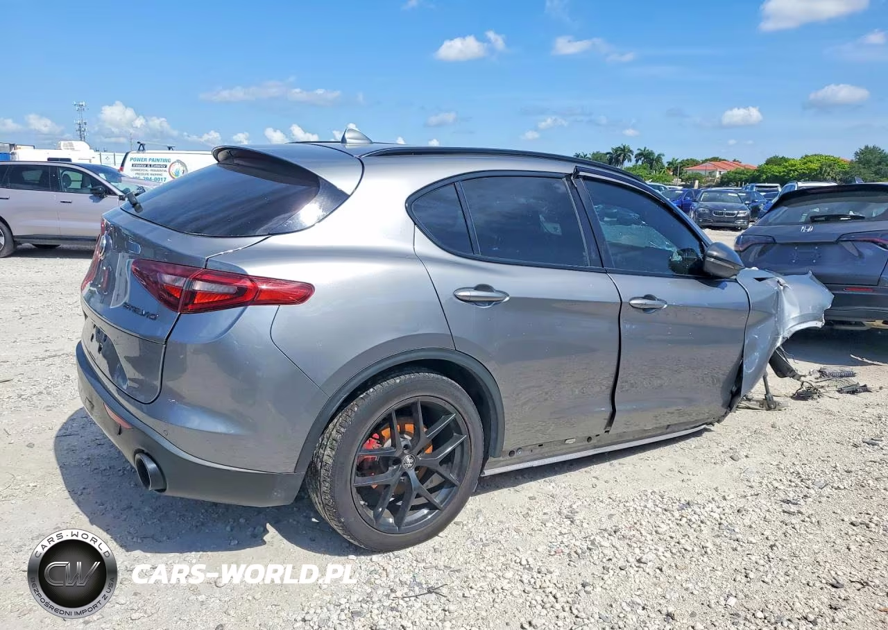2020 Alfa Romeo Stelvio VIN:ZASPAJAN6L7C75483 - 3