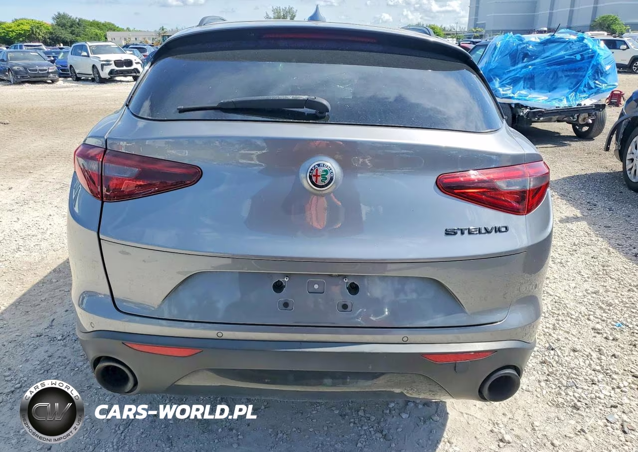 2020 Alfa Romeo Stelvio VIN:ZASPAJAN6L7C75483 - 6