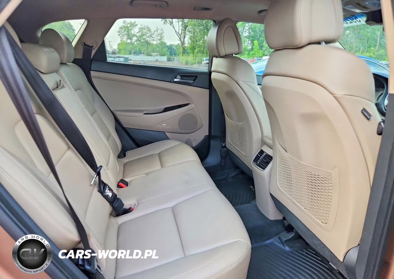 2017 Hyundai Tucson Limited VIN:KM8J3CA23HU297102 - 10