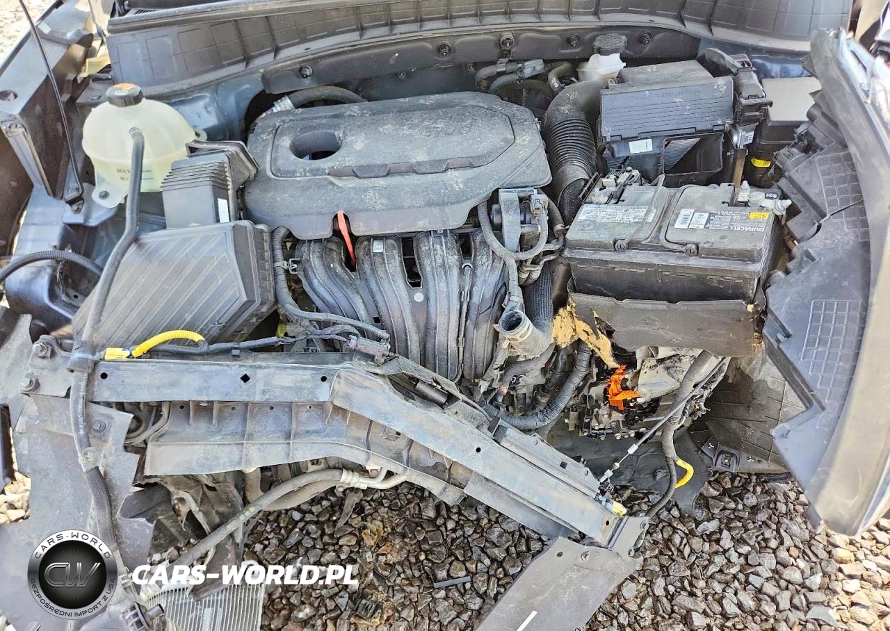 2019 Hyundai Tucson Ultimate VIN:KM8J33AL7KU012238 - 12