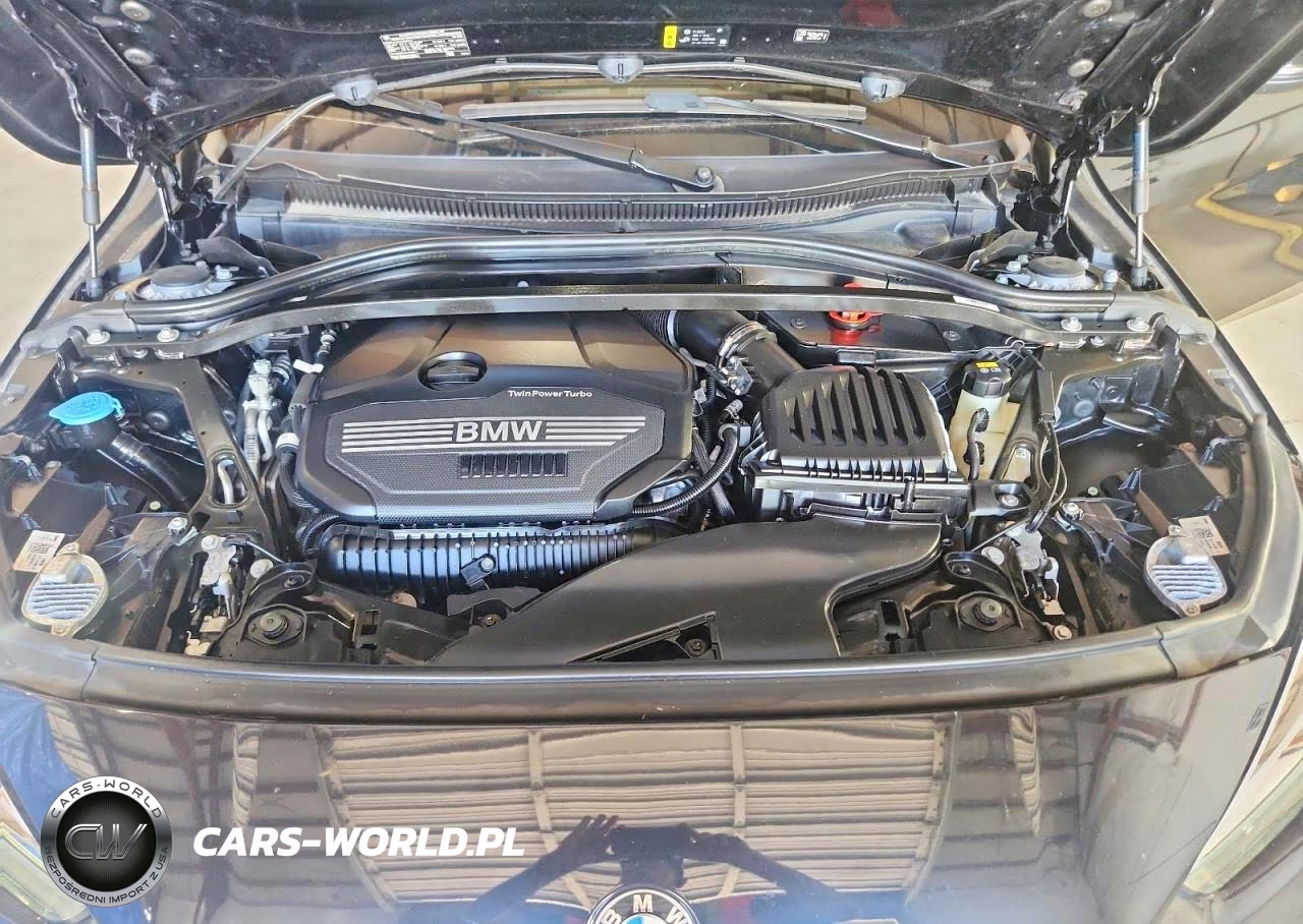 2022 BMW 228 Gran Coupe I xDrive VIN:WBA73AK01N7K25838 - 11