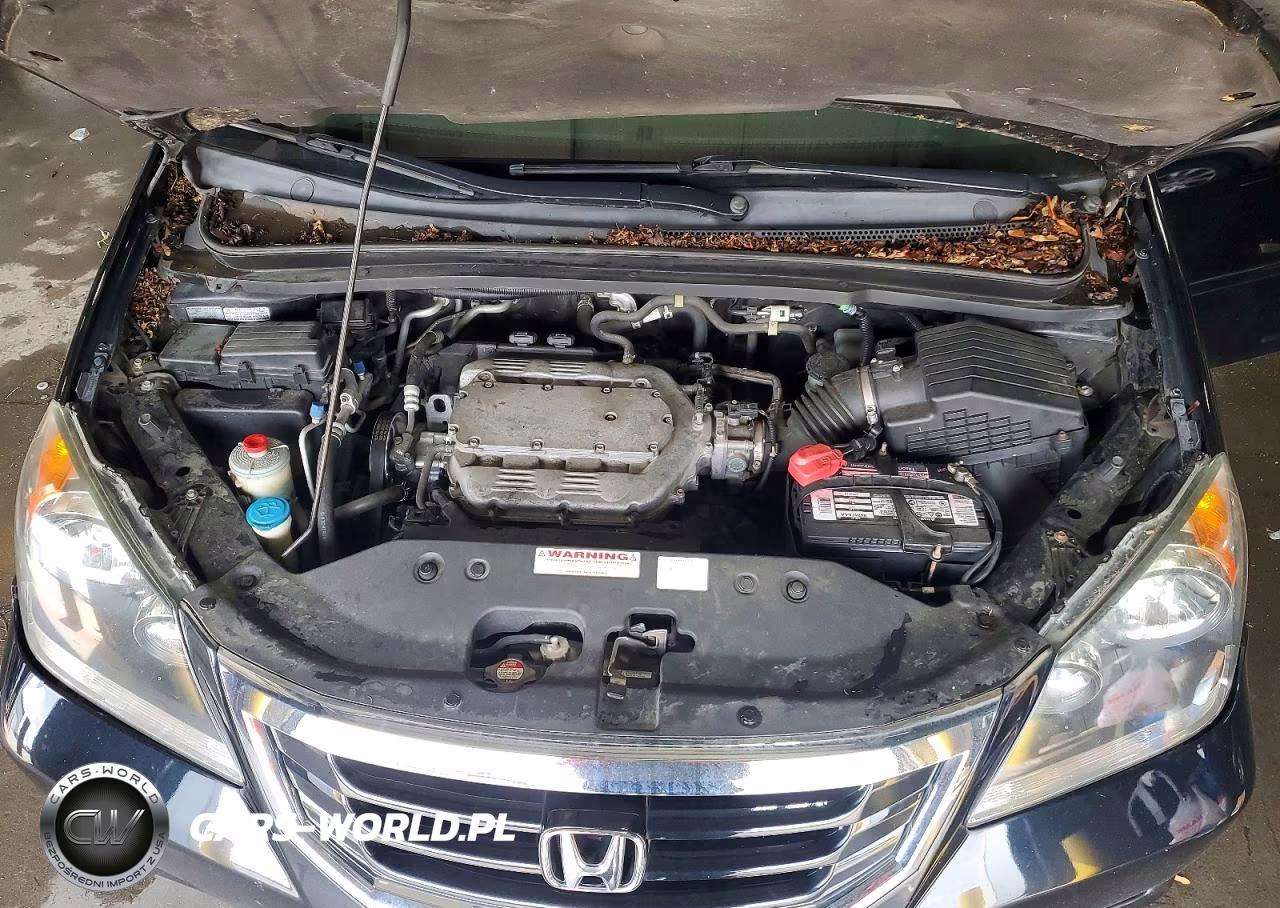 2008 Honda Odyssey Exl VIN:5FNRL38758B089692 - 12