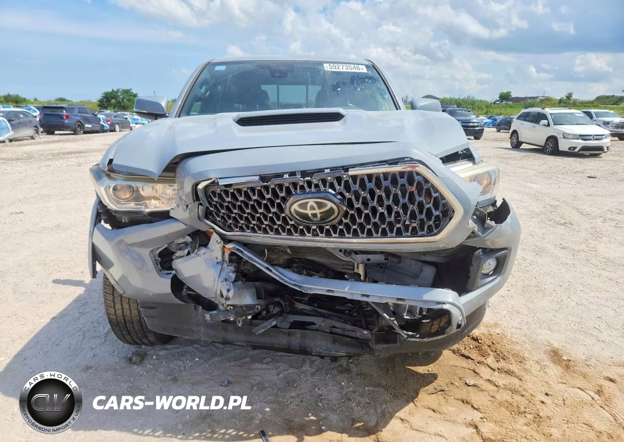 2019 Toyota Tacoma Trd Sport VIN:3TMCZ5AN8KM249933 - 5