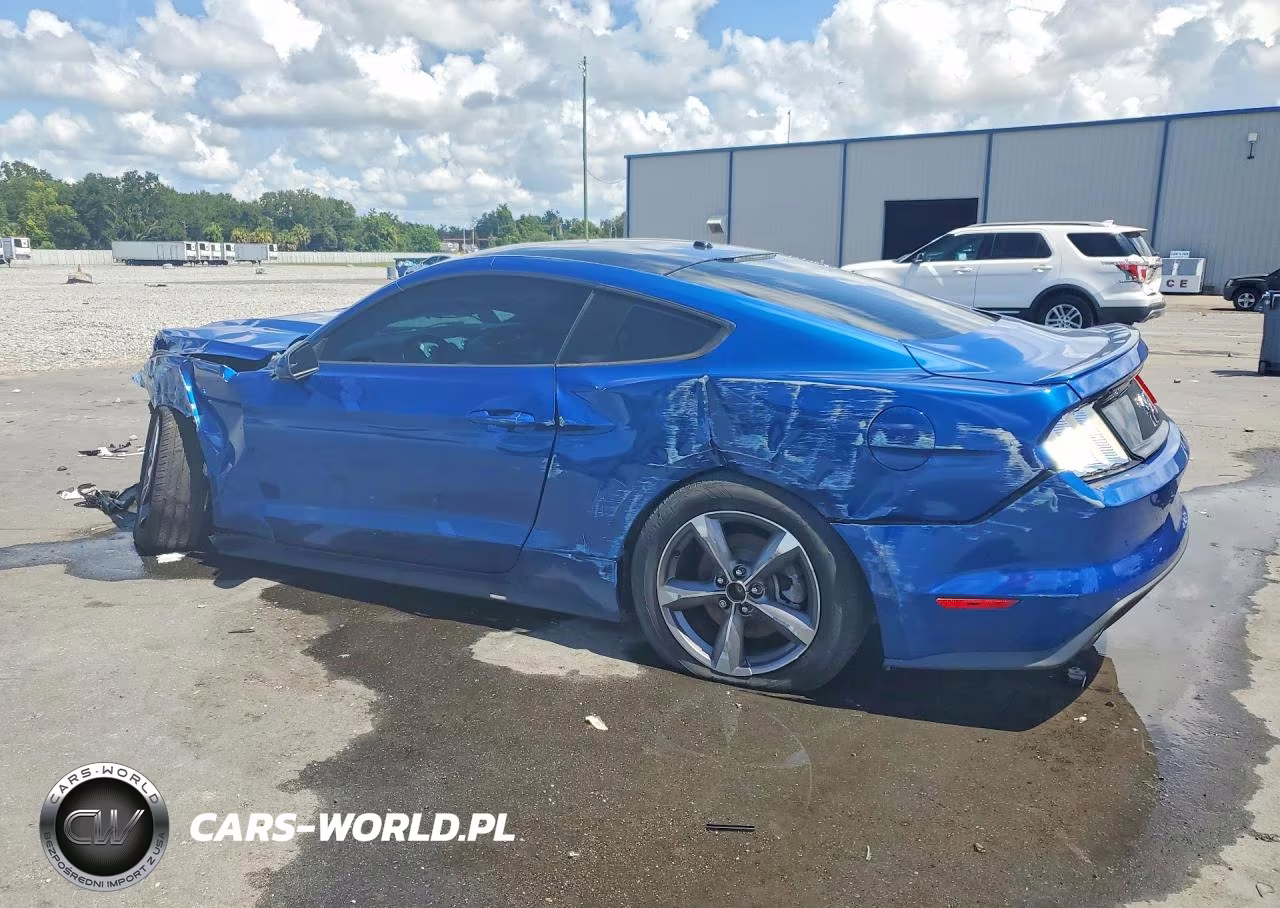 2017 Ford Mustang VIN:1FA6P8TH5H5342294 - 2