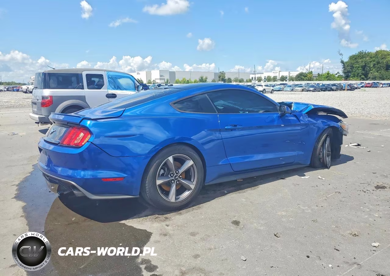 2017 Ford Mustang VIN:1FA6P8TH5H5342294 - 3