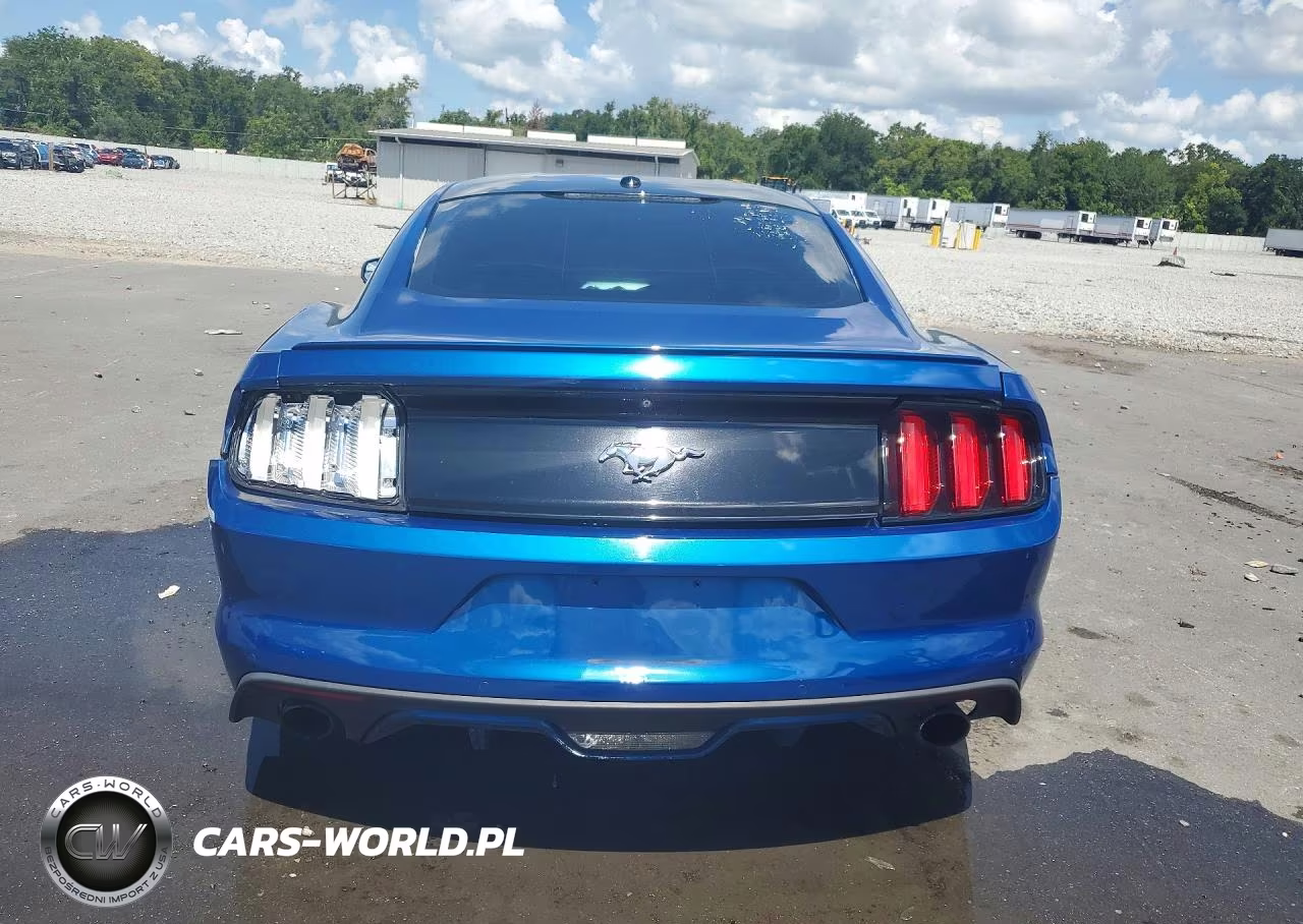 2017 Ford Mustang VIN:1FA6P8TH5H5342294 - 6