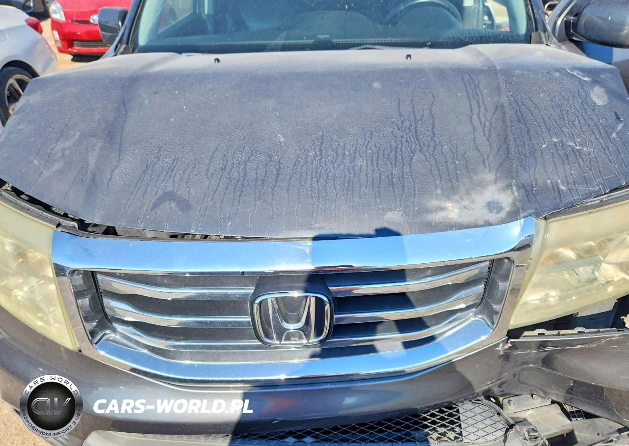 2013 Honda Pilot Exl VIN:5FNYF4H57DB041483 - 12