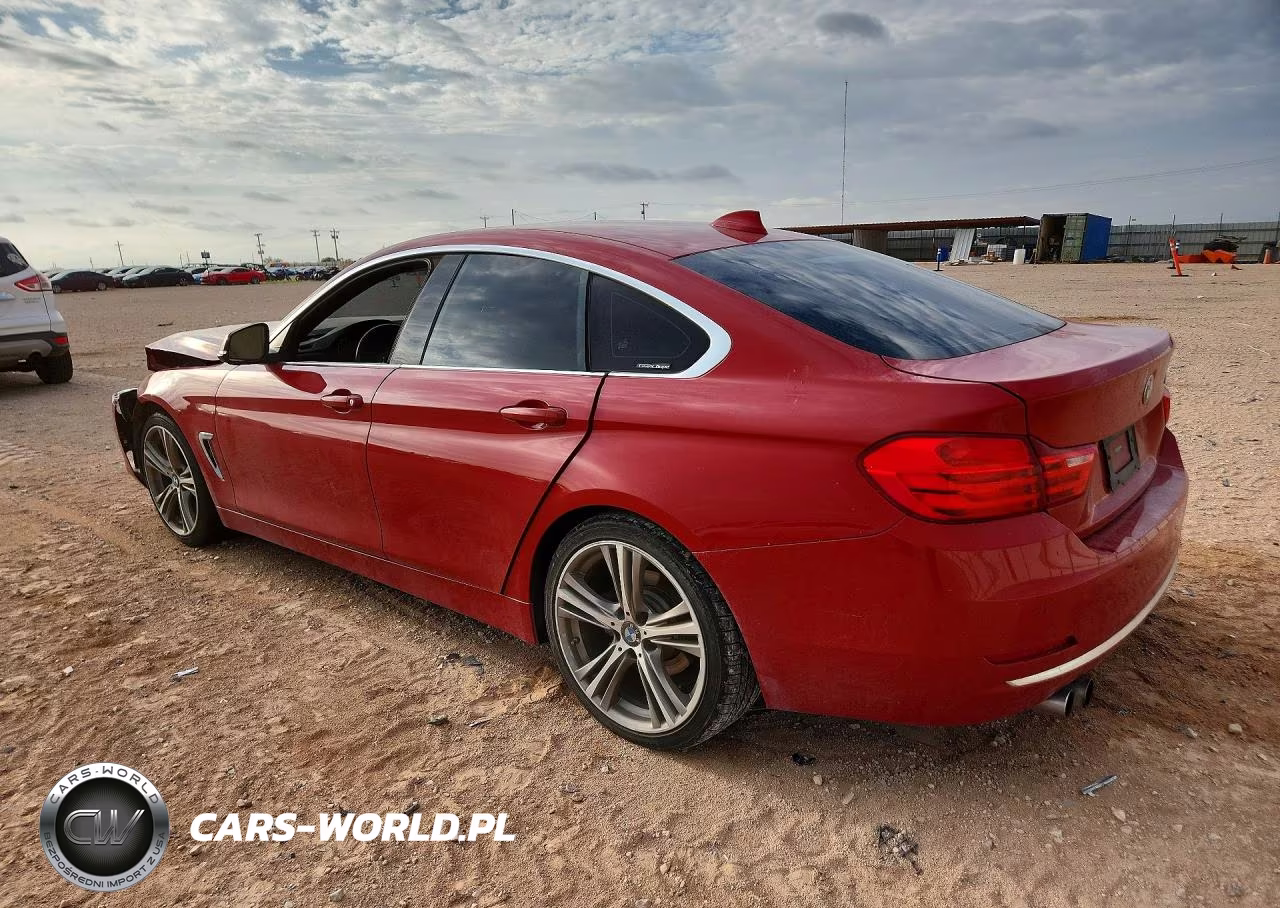 2017 BMW 430I Gran Coupe VIN:WBA4F7C53HG787445 - 2
