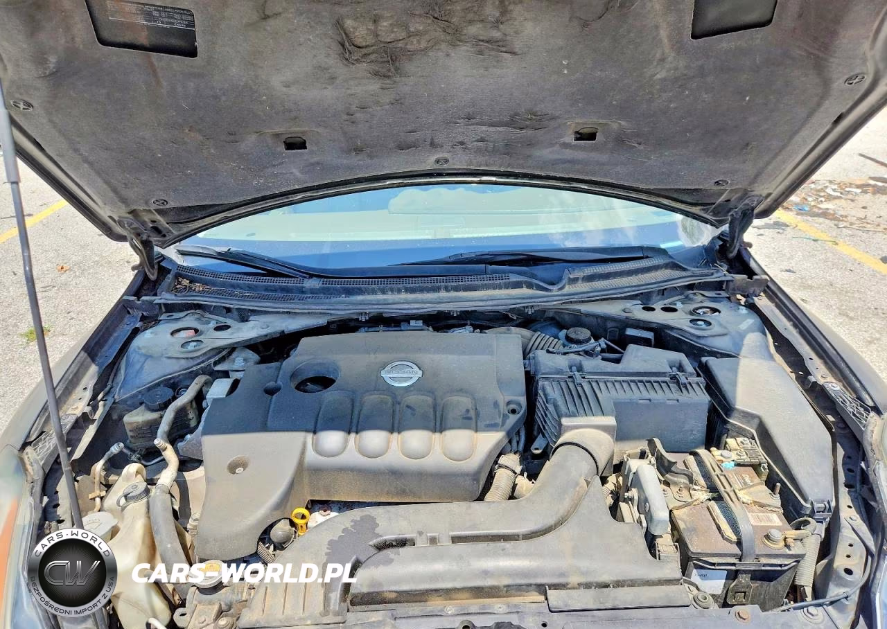 2009 Nissan Altima 2.5 VIN:1N4AL21E49N508981 - 11