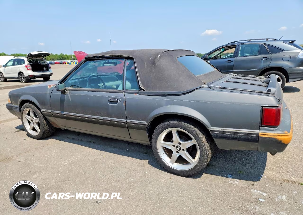 1989 Ford Mustang Lx VIN:1FABP44AXKF142442 - 2
