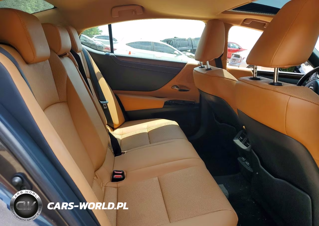 2023 Lexus Es 300H Base VIN:58ADA1C14PU033275 - 10