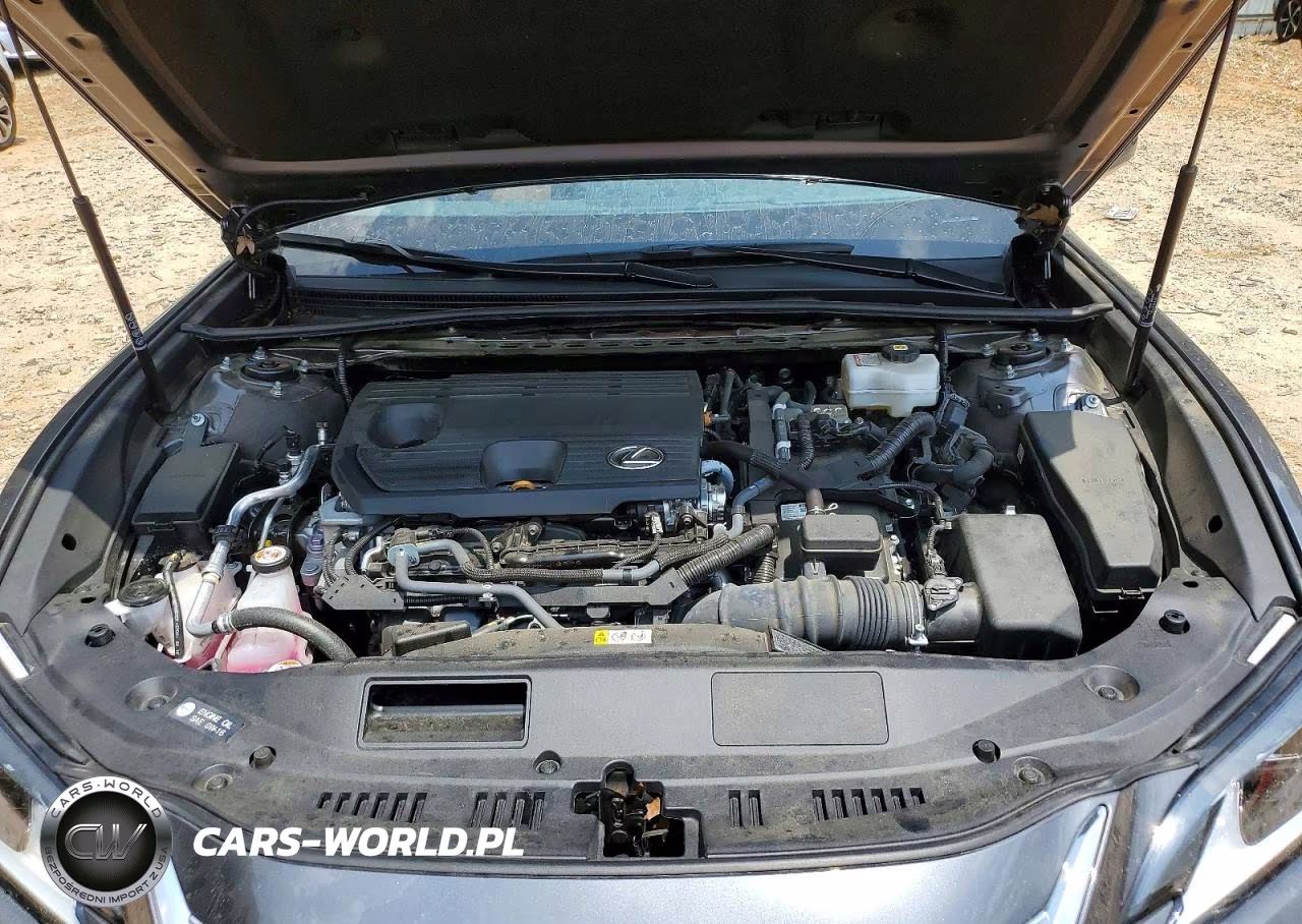 2023 Lexus Es 300H Base VIN:58ADA1C14PU033275 - 11