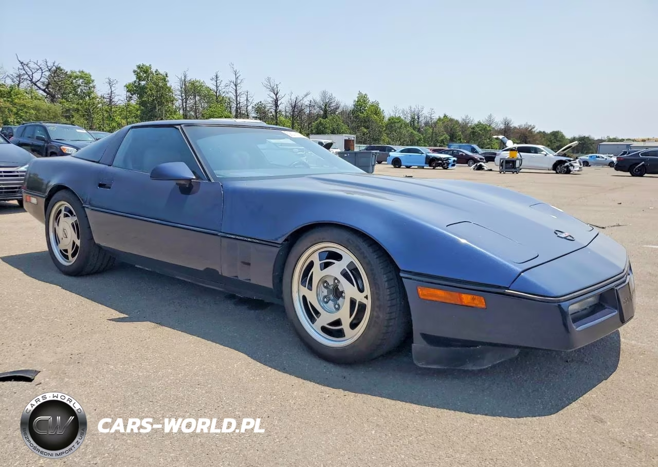 1989 Chevrolet Corvette VIN:1G1YY2185K5103344 - 4