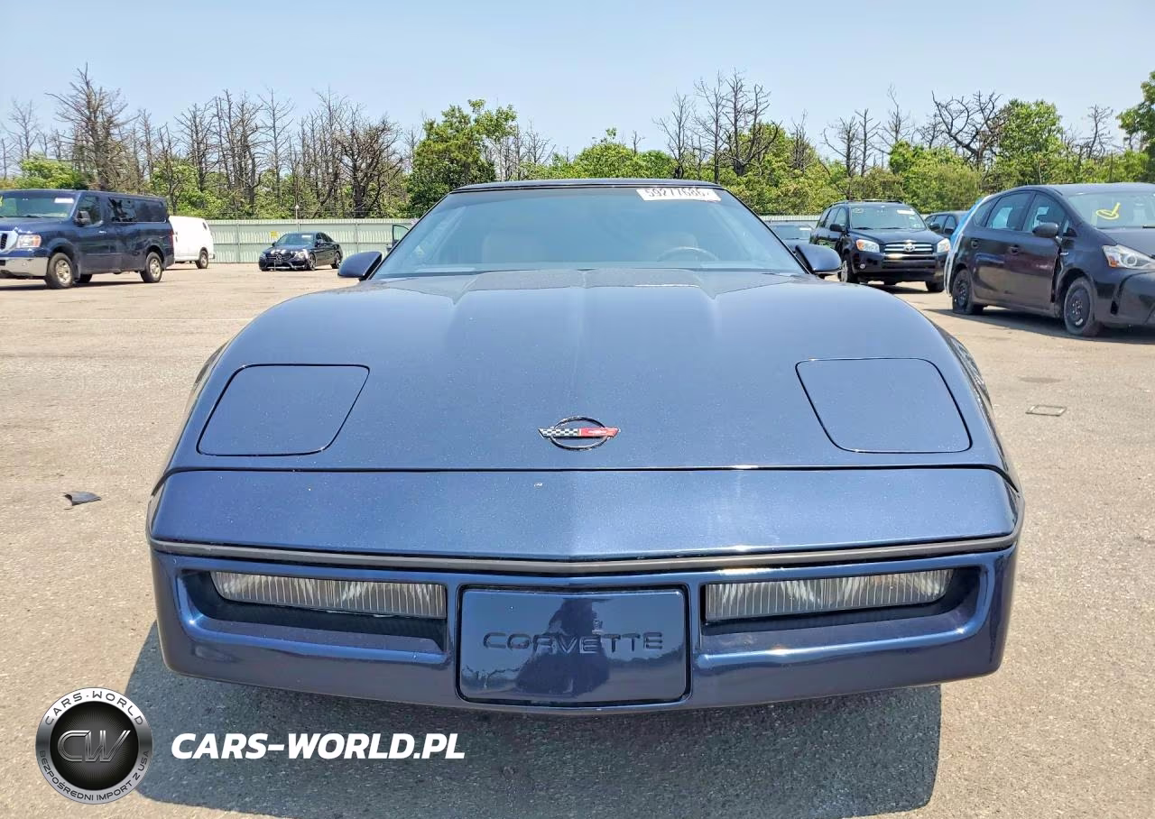 1989 Chevrolet Corvette VIN:1G1YY2185K5103344 - 5