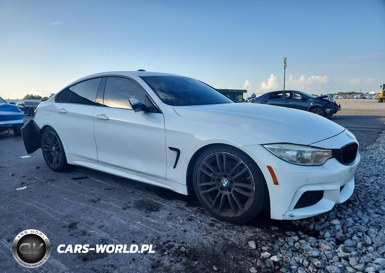 2015 BMW 428 I Gran Coupe VIN:WBA4A5C50FD410380 - 4