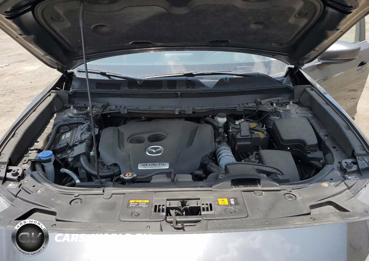 2019 Mazda Cx-9 Sport VIN:JM3TCBBY5K0314319 - 12
