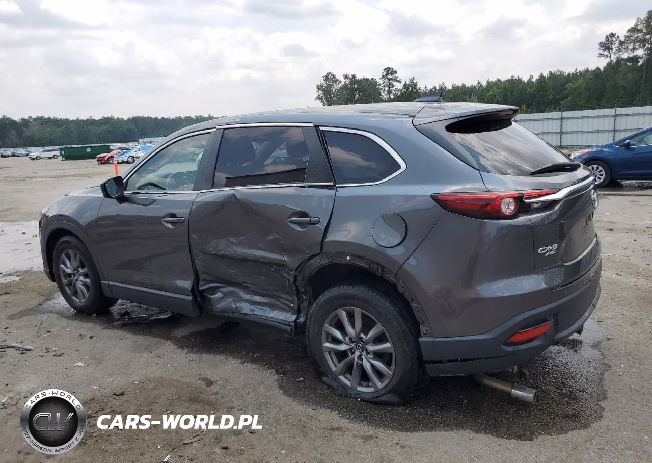 2019 Mazda Cx-9 Sport VIN:JM3TCBBY5K0314319 - 2