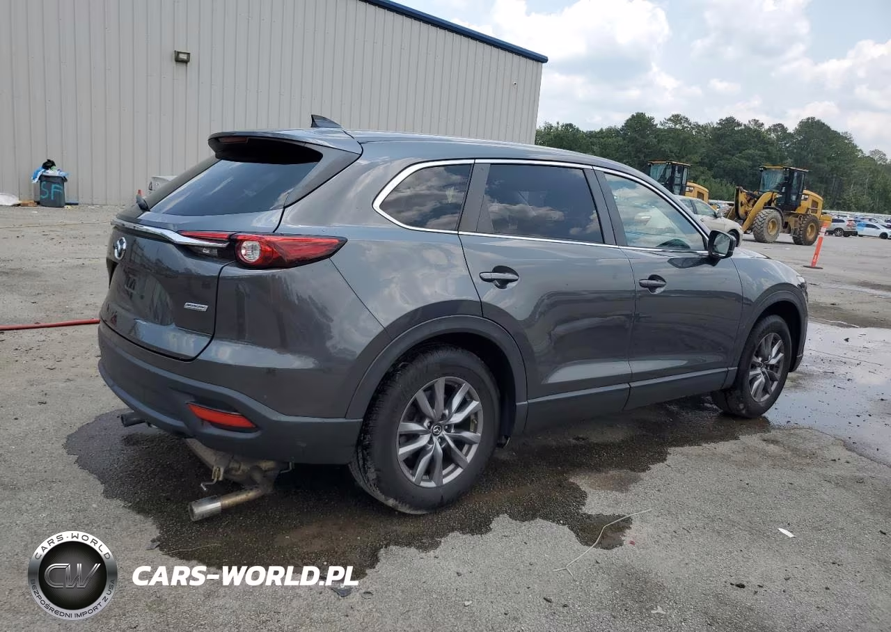 2019 Mazda Cx-9 Sport VIN:JM3TCBBY5K0314319 - 3