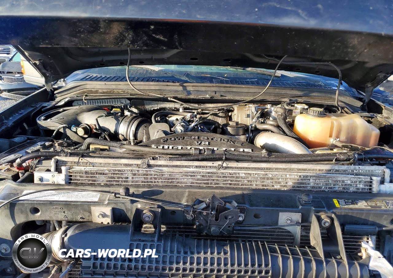 2008 Ford F250 Super Duty VIN:1FTSW21R28ED81204 - 11