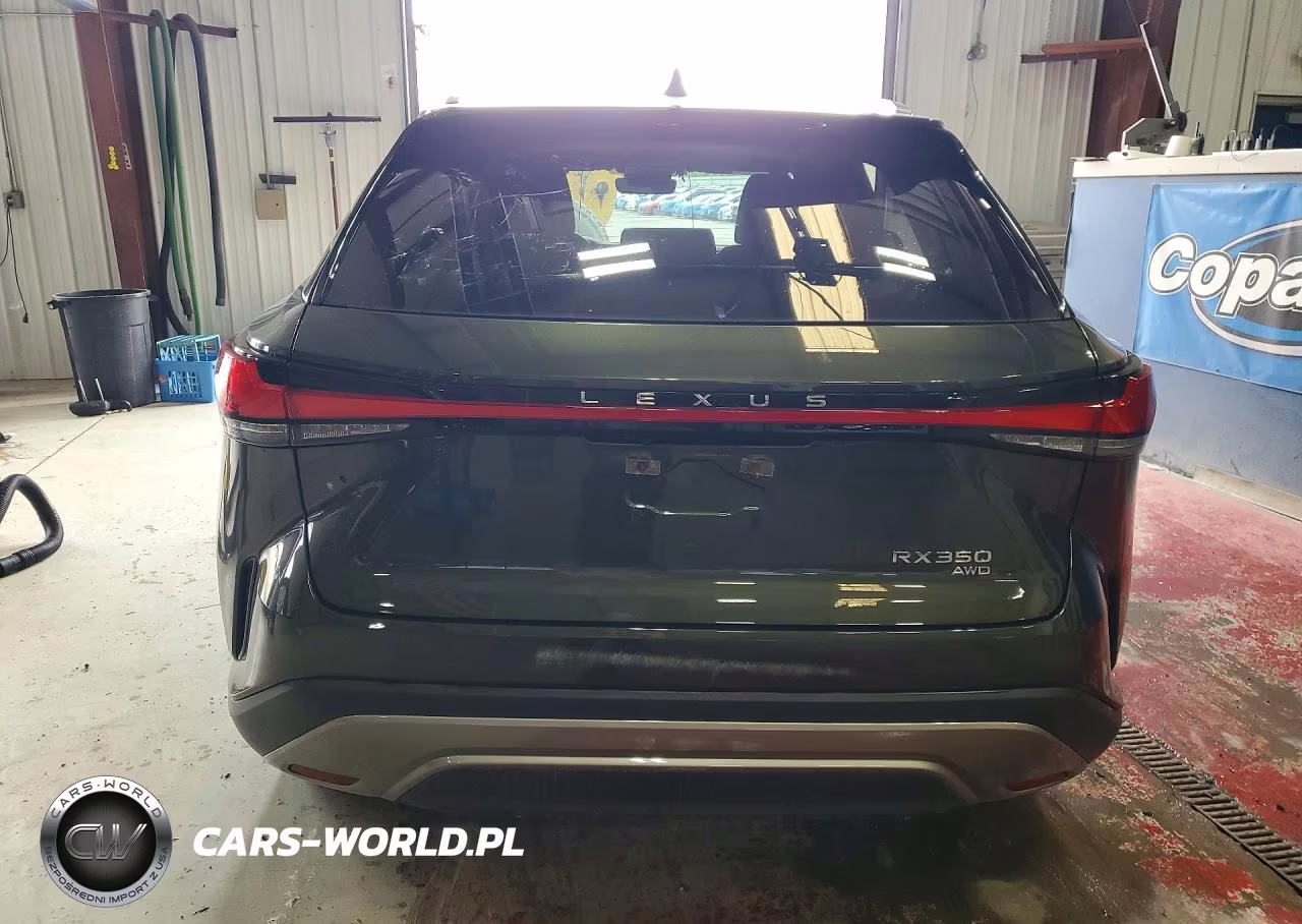 2025 Lexus Rx 350 Premium VIN:2T2BAMCA3SC097250 - 6