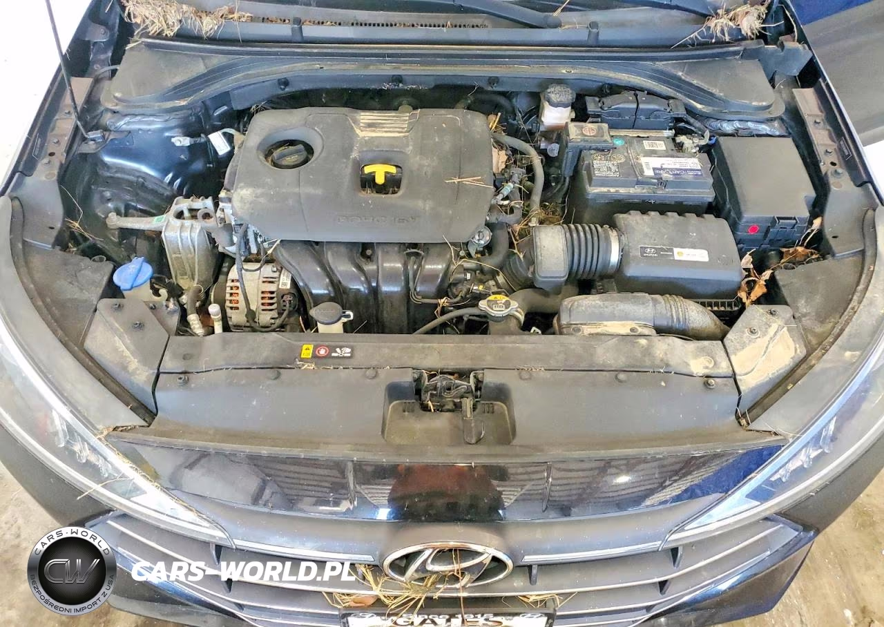 2019 Hyundai Elantra Se VIN:5NPD74LFXKH494944 - 11