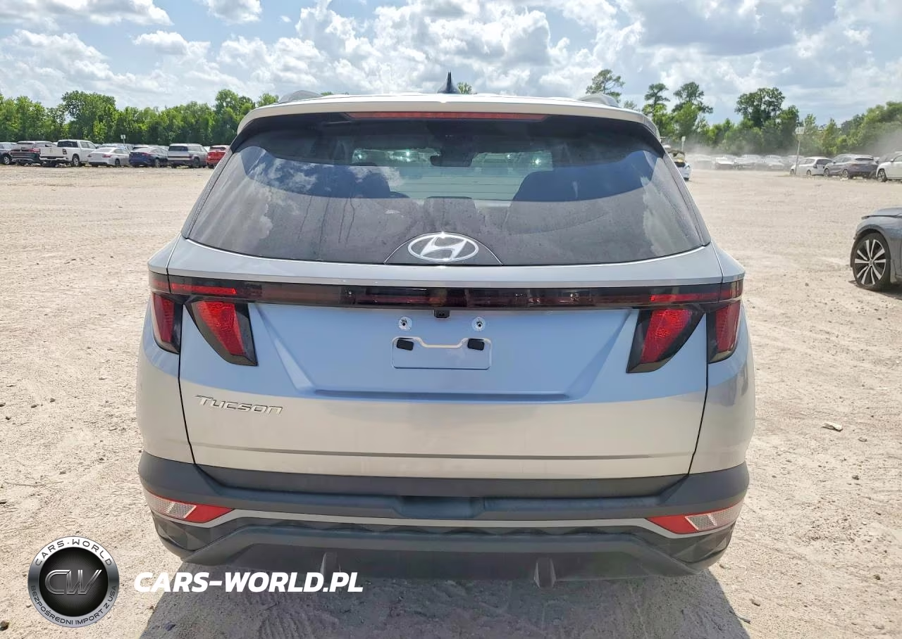 2024 Hyundai Tucson Sel VIN:5NMJB3DE9RH304978 - 6