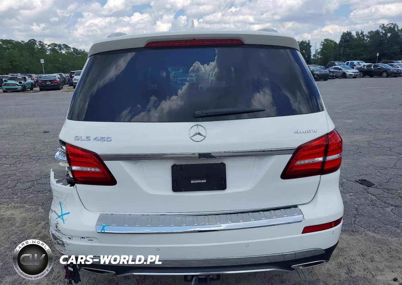 2019 Mercedes-Benz Gls 450 4Matic VIN:4JGDF6EE8KB233747 - 6