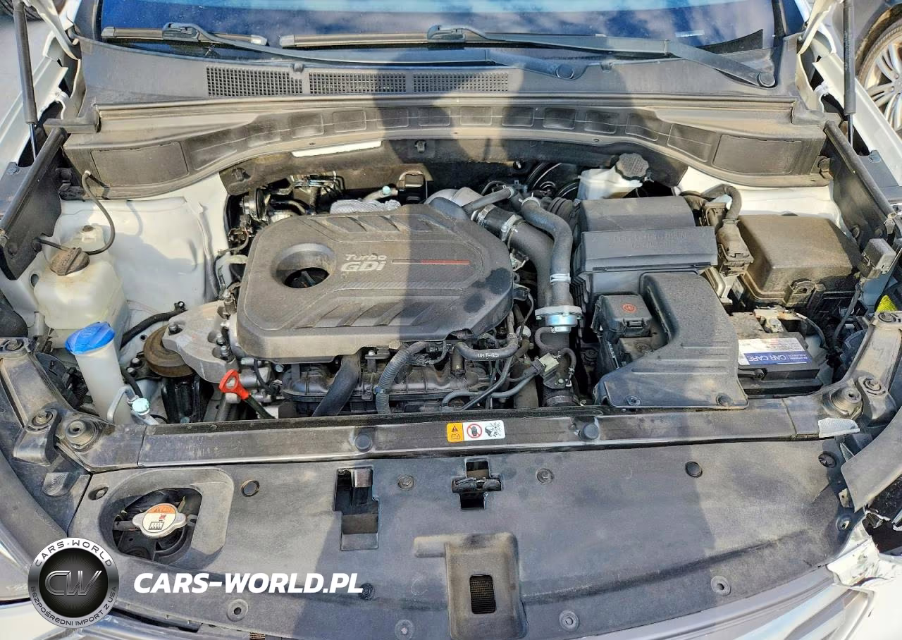 2018 Hyundai Santa Fe Sport 2.0T Ultimate VIN:5XYZW4LA6JG522497 - 12