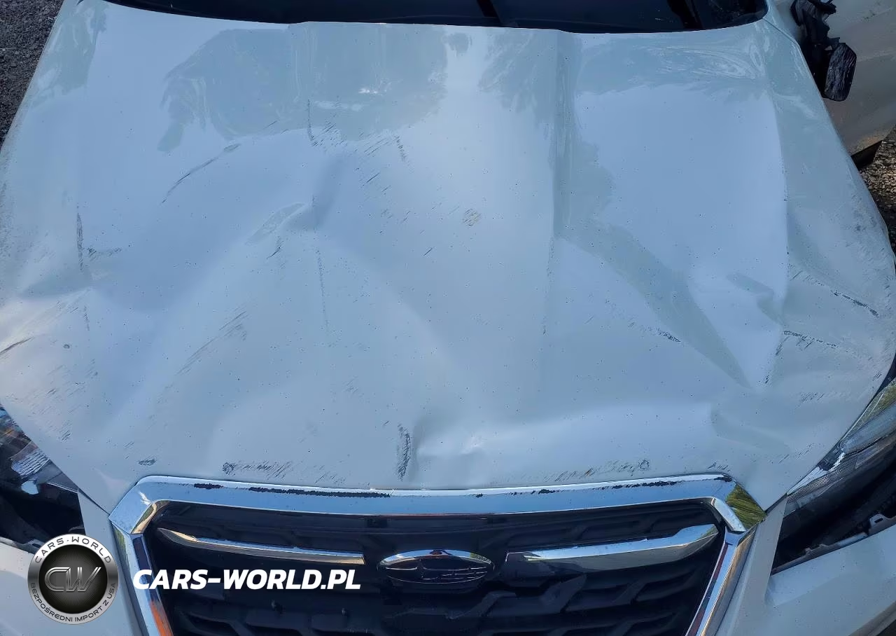 2018 Subaru Forester 2.5I Premium VIN:JF2SJAEC7JH589406 - 11
