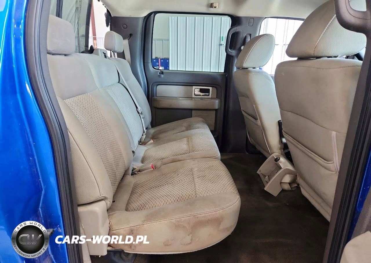 2009 Ford F150 Supercrew VIN:1FTPW14V39FB21270 - 10